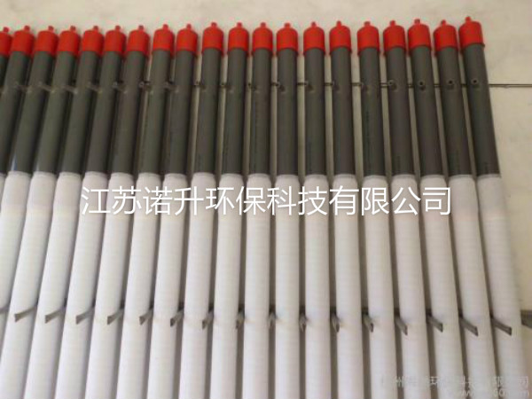 1601343069576801.jpg 2.jpg